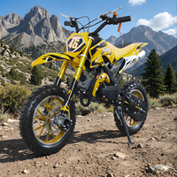 Motor Trail Mini Anak-Anak Bertenaga Gas 49cc 2 Tak, Starter Tarik, Penggerak Rantai, Rem Cakram