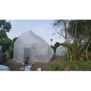 Film Green House Top Ventilation Garden Tomato Film Greenhouse for Planting Vegetables sawtooth greenhouse