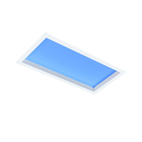 2*2 2*4 Australie Full Spectrum 60W Tuya Smart Coelux LED Blue Skylight Salle de bain