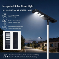 Lampadaires solaires LED intégrés haute luminosité 100W, étanches IP66, pour extérieur, route et jardin