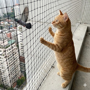 कृषि के लिए एंटी बर्ड नेटटिंग, फल और फसल सुरक्षा के लिए एंटी बर्ड नेट। - Product Image 1