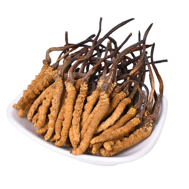 Todo o extrato de cordyceps sinensis para plantas, extrato de pó tibetano, norland cordyceps