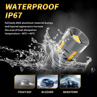 Ampoule LED T10 W5W pour feux de position de stationnement de voiture feux de dôme de carte intérieure 12V Canbus 3020 puces 10SMD pour livraison gratuite