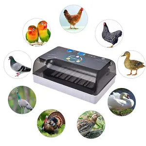 HHD цифровой контроль температуры 12 куриных птиц яиц инкубатор полностью автоматический для горячей продажи