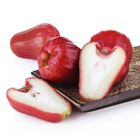 Voedingsmiddelenklasse hoogwaardig fruitextract oplosmiddel-extractie concentraat sappoeder vitamine was appelpoeder