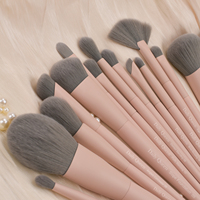 Daily Queen & Mor-phe 19 pièces Pinceaux de maquillage en poils nano gris à manche rose, poils denses et sensation luxueuse, logo personnalisé