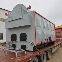 Chaudière à eau chaude pressurisée à biomasse de série DZH à haute efficacité de 0,7 MW pour l'agriculture et l'agriculture en serre