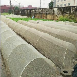 Fiberglass Plant Support Rods for Greenhouse & Bird Protection - Product Image 6