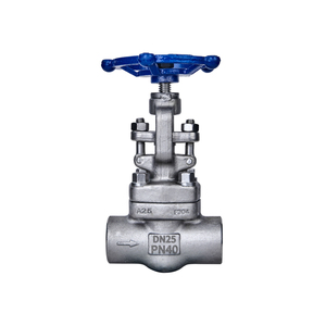 Industrial Grade DN25 PN40 A25 Control Angle <strong>Valve</strong> with F304 316 Welded Bellow Sealed <strong>Globe</strong> Manual - Product Image 1