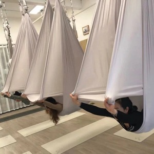 Ensemble de hamac de <span class=keywords><strong>yoga</strong></span> <span class=keywords><strong>aérien</strong></span> de haute qualité avec logo, balançoire à corde aérienne d'intérieur, adapté au Pilates - Product Image 4