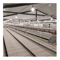 Nouveau système d'alimentation pour poulets U-Best Breeder avec utilisation facile pour les fermes avicoles