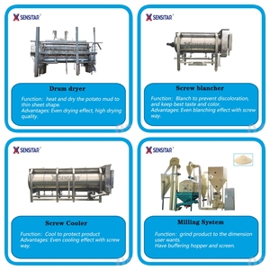 Ligne de production automatique de poudre et de flocons de pommes de terre 1800 kg/h certifiée ASME par Sensitar - Product Image 5