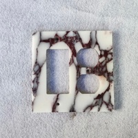 Plaques de couverture pour interrupteurs en marbre Viola Calacatta