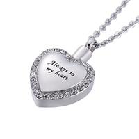 Colgante Clásico Hecho a Mano, Ecológico, Duradero y Hermético, de Acero Inoxidable Plateado con Cristal de Zirconia en Forma de Corazón para Urna de Mascotas