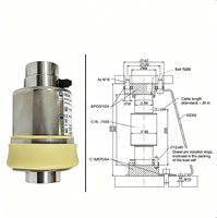 Sensor de Pesaje por Compresión de Columna HBM C16AC3 40T, Célula de Carga de Alta Precisión con Extensómetro, IP68/IP69K, Acero Inoxidable, Autocentrante