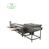 Hete Aanbieding Automatische Groente- en Fruit sorteermachine Rolbaan SUS304 RVS GSJ-5 Model voor Komkommer/Yam/Noot