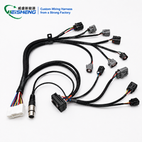 Harnais de câblage moteur ECU autonome personnalisé en usine, faisceau de câbles tressé pour bobine d'allumage et capteurs multiples, faisceau de câbles automobile sur mesure