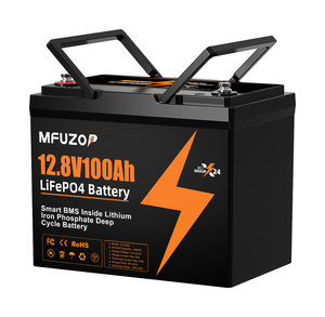 Pin LiFePO4 12.8V 100Ah, Pin Lithium Iron Phosphate chu kỳ sâu tích hợp hệ thống quản lý pin thông minh (BMS) dành cho xe RV, năng lượng mặt trời, hàng hải, hệ thống ngoài lưới điện - Product Image 1