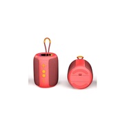 Altavoz con Tarjeta TF y AUX, Batería Extraíble, Audio Portátil, Luz RGB, Llamadas Inalámbricas TWS, para Entretenimiento al Aire Libre