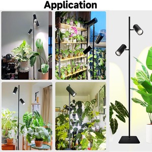Corner Plant <b>Stand</b> With Grow Lights Decorative Corner Grow Light Indoor Plant Display Home Decor Commercial Wholesale - Product Image 4