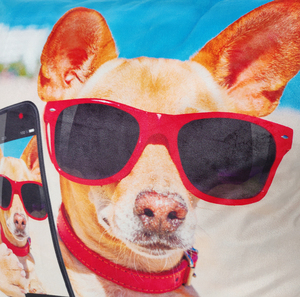 Funda de Cojín Decorativa para Sofá con Estampado de Perro por Sublimación, Venta Caliente 2026, Fundas de Cojín Personalizadas - Product Image 4