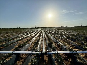 Produsen 16mm pita tetes taman sistem pita irigasi tetes selang irigasi pertanian - Product Image 4