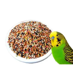 पौष्टिक गोली के साथ थोक में छोटे पक्षी तोते के बीज बुदगिगर लवबर्ड भोजन का मिश्रण करें