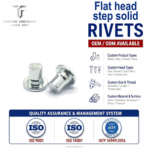 Remaches Sólidos de Cabeza Plana de Hierro Galvanizado a Medida TianFang, Sujetadores ISO QC <span class=keywords><strong>para</strong></span> Hardware OEM, Venta al por Mayor Directa de Fábrica - Product Image 1