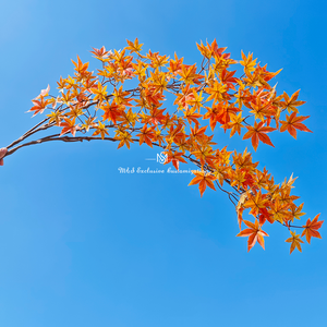 กิ่งเมเปิ้ลประดิษฐ์ที่เหมือนจริง ใบไม้สีส้มและสีเหลืองสดใสสำหรับตกแต่งในฤดูใบไม้ร่วงและงานต่างๆ - Product Image 3