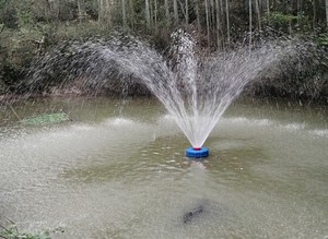 Motor de Aerador Flutuante para Irrigação e Drenagem, Oxigenação de Tanques de Peixes e Fazendas de Peixes - Product Image 4