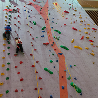Panneaux d'escalade, murs de bouldering, prises d'escalade pour murs d'escalade intérieurs et extérieurs, centres de fitness, centres éducatifs