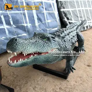 V Crocodile head animatronic statue for playground equipment