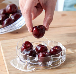 เครื่องมือแยกเมล็ดเชอร์รี่/มะกอก รุ่น Syh182 แบบกดดึง 6 รู สำหรับขายส่ง - Product Image 4