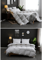 Offre Spéciale couette en microfibre blanche de luxe couette douce reine taille duvet d'oie remplissage respirant couette de qualité hôtelière usage domestique