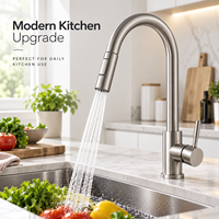 Vente directe transfrontalière fabricant : Évier de cuisine moderne et simple en alliage, avec robinet extractible chaud/froid à double sortie, en céramique