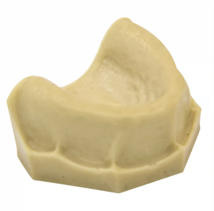 Modelos dentales, materiales educativos, modelos de anatomía Dental - Product Image 1