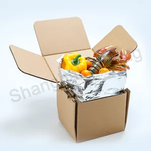 Caja de embalaje de alimentos congelados, cartón corrugado, aislado, envío en frío, almacenamiento para carne de perro caliente