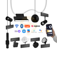 Système d'éclairage sur rail magnétique étroit 15 mm au design moderne, DC48V, intelligent Tuya Zgbee, rail en aluminium pour lampe sur rail magnétique linéaire