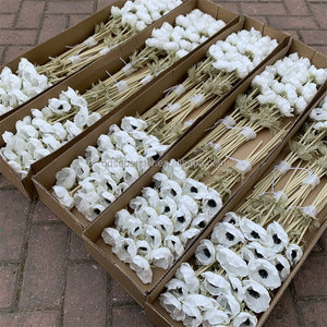 L-431 Bán Buôn PU Bất Cảm Ứng Hoa Poppy Trắng Hoa quỳ Nhân Tạo Cho Trang Trí - Product Image 2