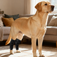 Attelle réglable pour pattes arrière de chien – Protection articulaire pour chiens atteints d'arthrite, de entorses et de stabilisation des lésions du ligament croisé antérieur