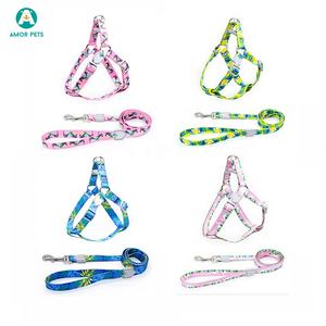 Set di guinzagli per cani di moda ecologici con fettuccia in poliestere con motivo stampato personalizzabile - Product Image 2