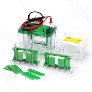 Sistema de electroforesis vertical KETHNK KT-mingel <span class=keywords><strong>gel</strong></span> electroforesis taqnue equipo <span class=keywords><strong>gel</strong></span> que hace el sistema para análisis de ADN - Product Image 6