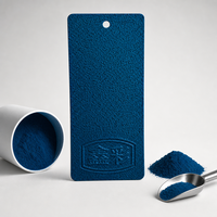 Revêtement en poudre électrostatique époxy-polyester effet martelé, couleurs RAL personnalisées pour clôtures en fer, portails métalliques, peinture pour bateaux