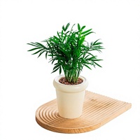 Pot de fleurs auto-arrosant Meixuan, respirant, résistant à la corrosion, en résine PP, pour culture hydroponique, plantes vertes, pot mignon