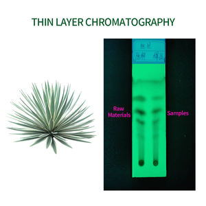 Ekstrak Yucca Schidigera Bubuk Organik Kelas Pakan, Pupuk Alami 100%, Mengandung Yucca Saponin 60% - Product Image 3