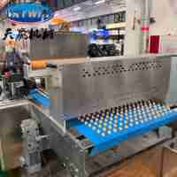 Machine automatique industrielle de fabrication de biscuits et de cookies, machine de dépose de biscuits et de cookies multidrop, machine de traitement de biscuits et de cookies à vendre