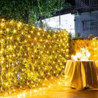 Guirlandes lumineuses LED étanches pour extérieur 24V DC 2M*3M 200 LED 8 modes Contrôle par bouton Blanc chaud IP65 Arbre de Noël Arbuste Jardin