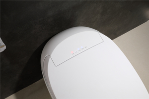 Bán Buôn Giá Rẻ 110V/220V S Trap/P Trap Nhật Bản Phòng Tắm Tự Động Tuôn Ra Thông Minh Electric Bidet Tự Động <span class=keywords><strong>Wc</strong></span> Thông Minh Nhà Vệ Sinh Bát - Product Image 5