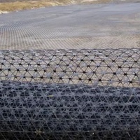 Geogrid Triaxial de Alta Resistencia Serie TX para Carreteras, Ferrocarriles y Cimentaciones de Puentes