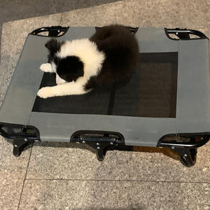 SANQIANG, cuna plegable cómoda para viajes al aire libre, cama para perros, cuna grande para perros, marco de acero elevado para interiores y exteriores, cama elevada para mascotas - Product Image 2